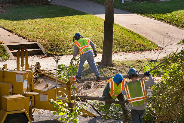 Lawn Watering Services in Cottonwood, AZ